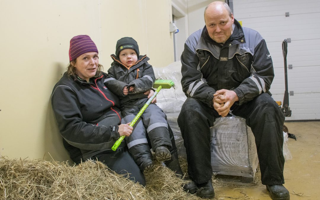 Galskapen på Mele