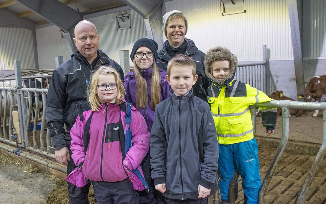 Ungdyrfjøs for heile familien