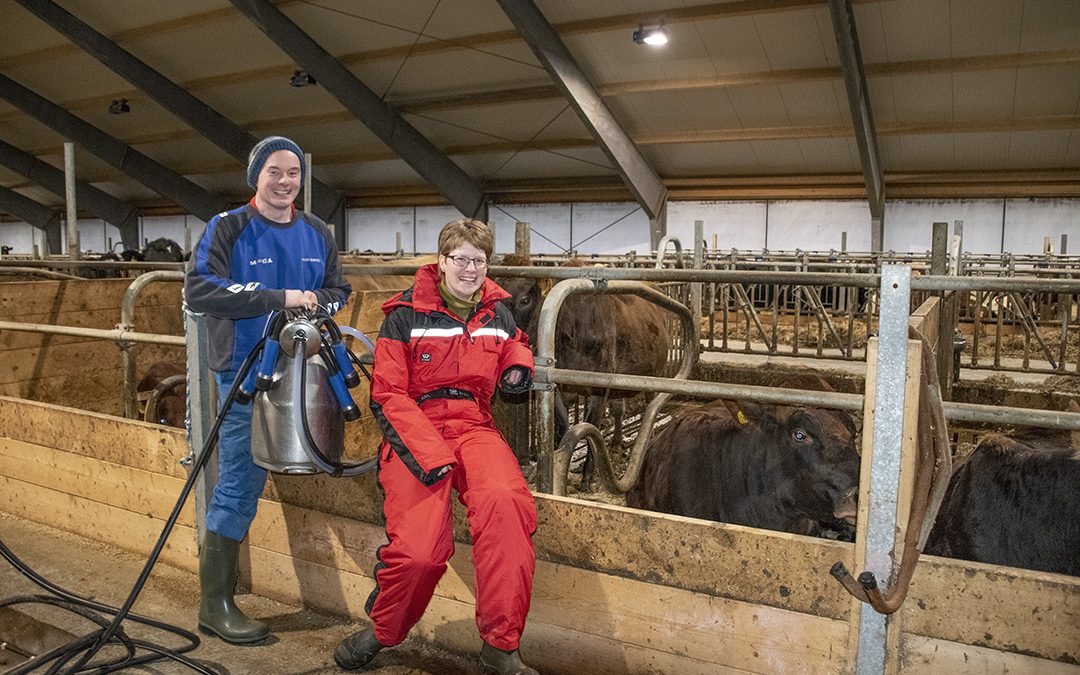 Stø kurs, men ikkje millimeterpresisjon