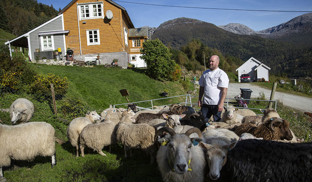 Frå Michelin-restaurant til møkabinge