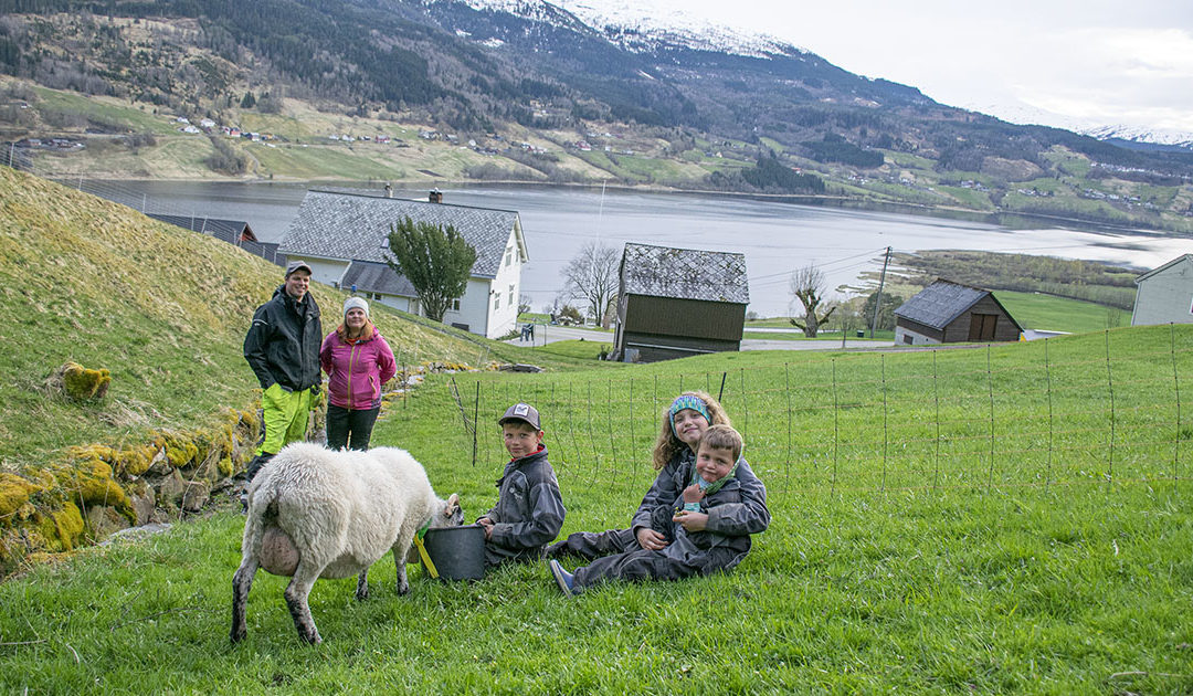 Deltidsbønder på heiltid