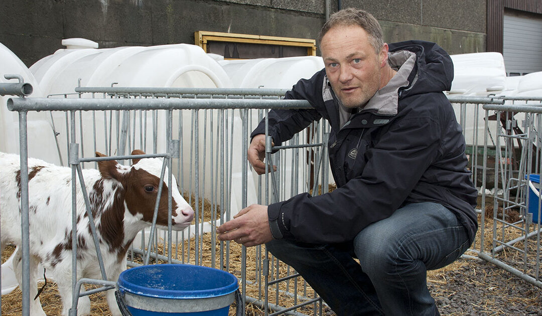 Meir kjøt med tyngre slakt