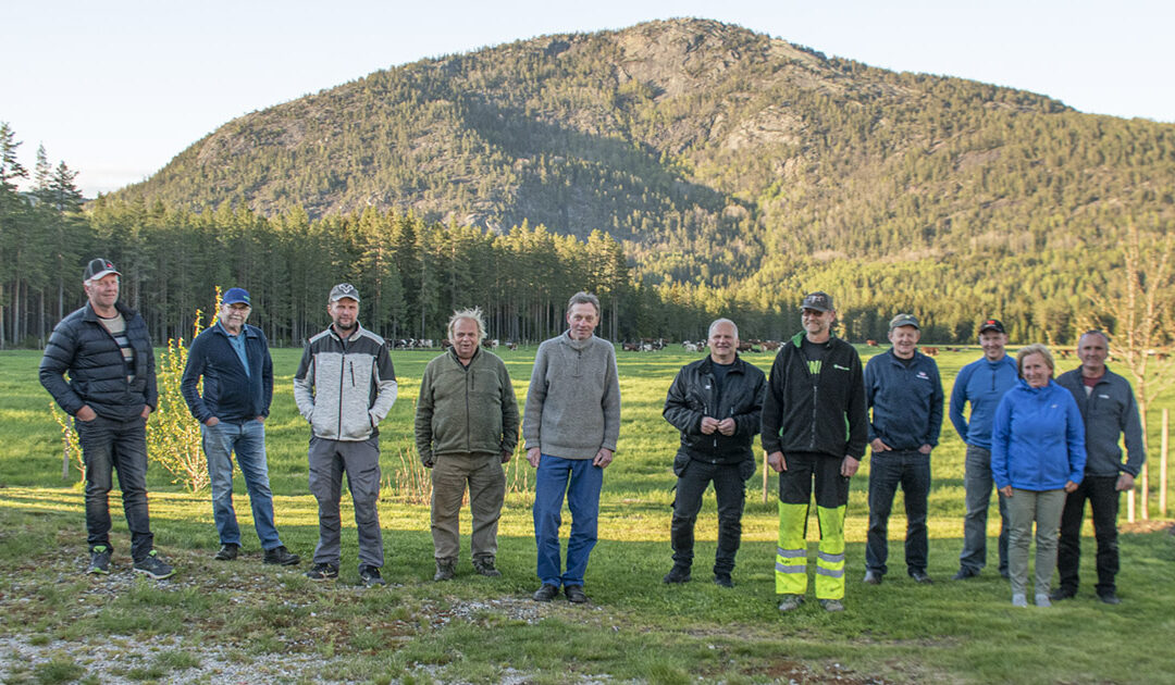 Fellesskap på fellesbeite