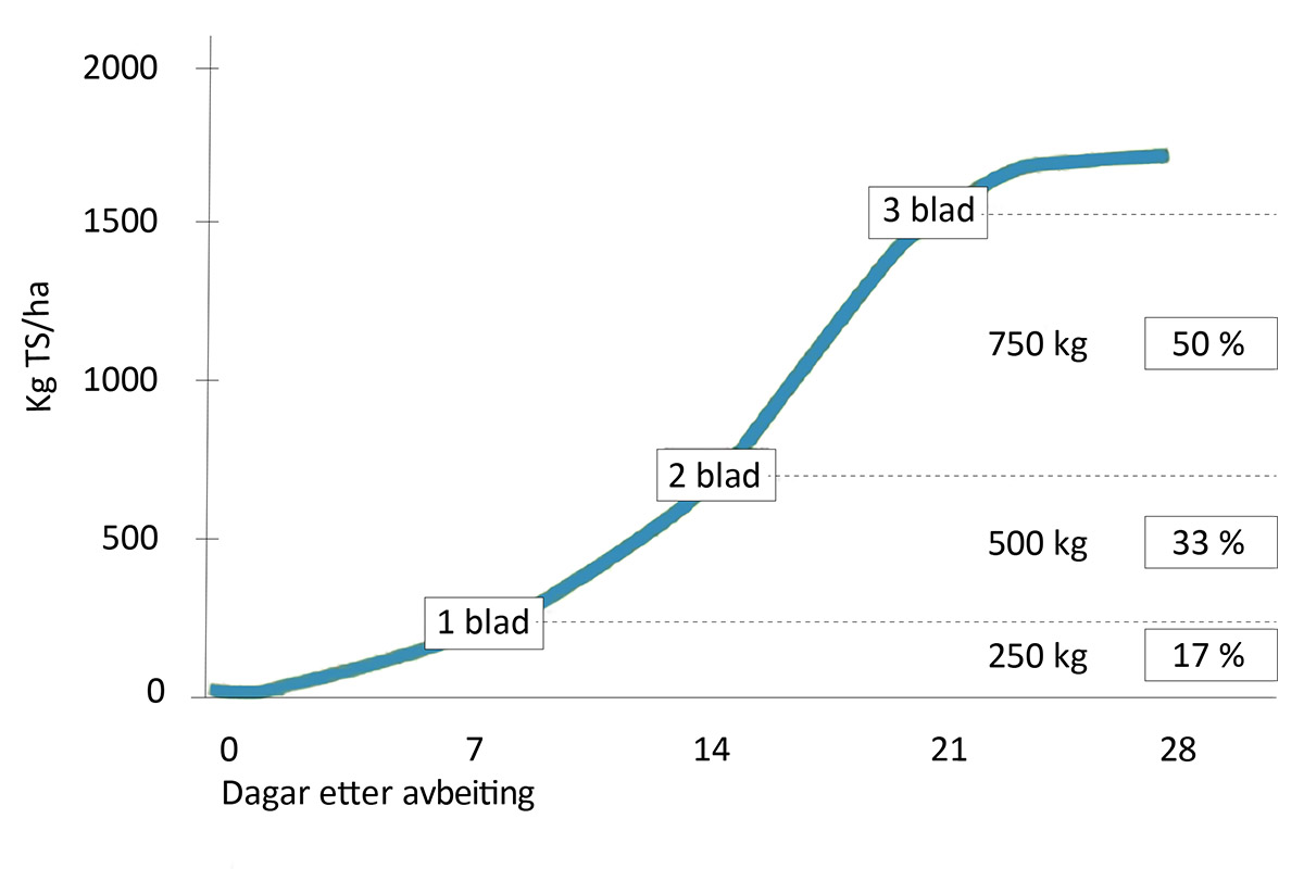 Sikre god gjenvekst: Figuren viser skilnaden i gjenvekst   i eng kor graset har 1, 2 eller 3 blader intakt etter avbeiting (4-5 cm stubbhøgd). Med 3 blad blir det meir  fotosyntese og veksten kjem raskt i gang når graset får kvile. Figur: Hans Lund/Kvægkongressen 2024.