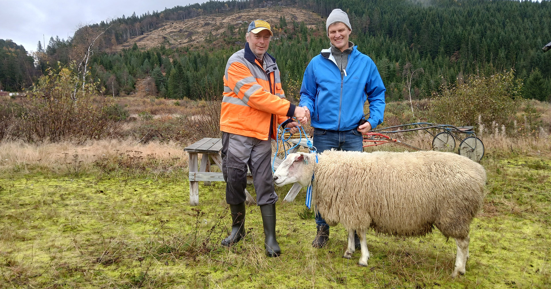 God handel: Oppdretter Odd Terje Rosseland til venstre. Den populære Mois Jarl i midten. Og hans nye og lykkelige eier Bernt Elias Åsland til høyre. Foto: Helge Verdal