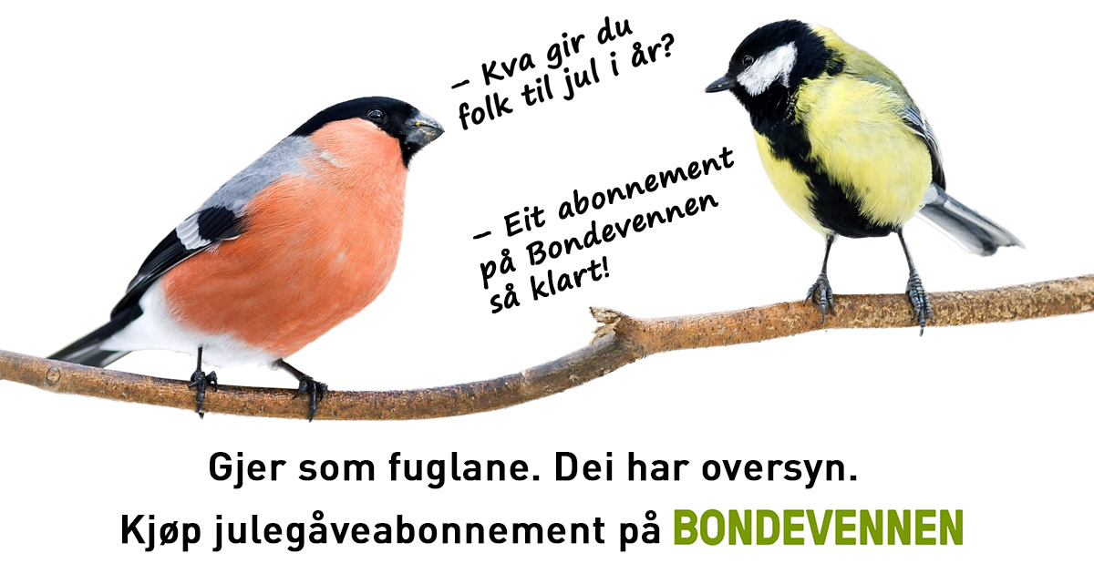 Gi Bondevennen i julegåve!