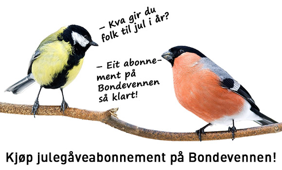 Gi Bondevennen i julegåve!