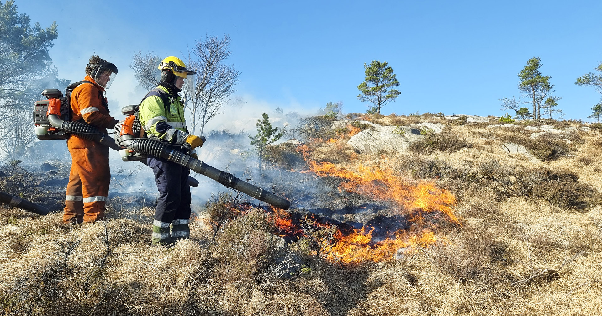 Brenn igjen: Når desse karane bles til flammane i Tysvær-området, svir dei seg inn i ein mange tusenårig tradisjon for skjøtsel og fornying av landskapet.