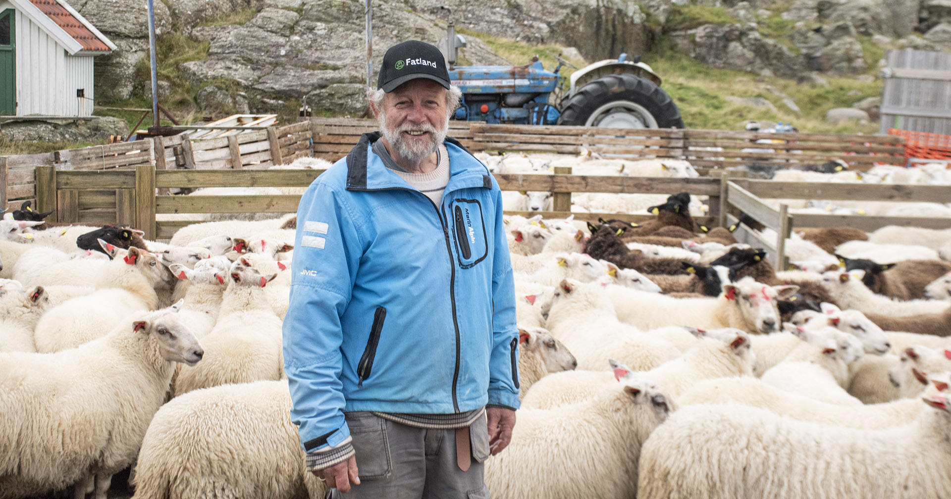 Stolt sauebonde: Å drive med sau gir meining i kvardagen for Brynjulf Kristiansen. Beitene er gode og slaktevekta på lamma ligg mellom 22 og 23 kilo. Bonden er stolt av å kunne levere store og friske lam til slakt.